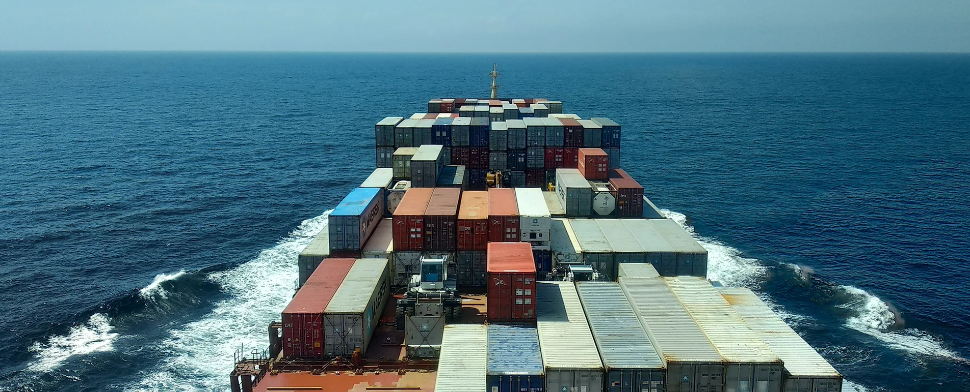 Image by Rinson Chory